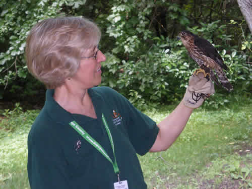 Nancy Mores and Merula