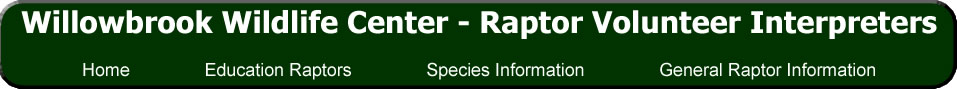 Willowbrook Wildlife Center Raptor Volunteer Interpreteres